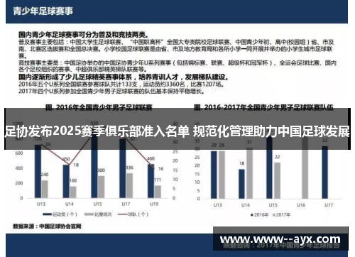 足协发布2025赛季俱乐部准入名单 规范化管理助力中国足球发展 足协发布2025赛季俱乐部准入名单 规范化管理助力中国足球发展