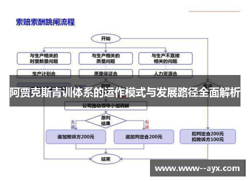 阿贾克斯青训体系的运作模式与发展路径全面解析