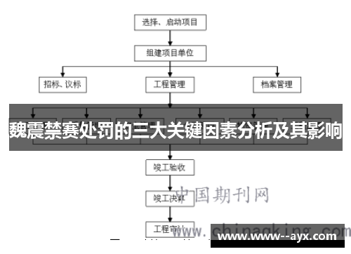 魏震禁赛处罚的三大关键因素分析及其影响