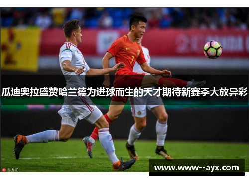 瓜迪奥拉盛赞哈兰德为进球而生的天才期待新赛季大放异彩