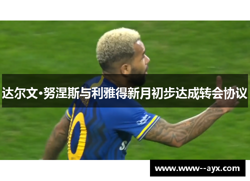 达尔文·努涅斯与利雅得新月初步达成转会协议 达尔文·努涅斯与利雅得新月初步达成转会协议